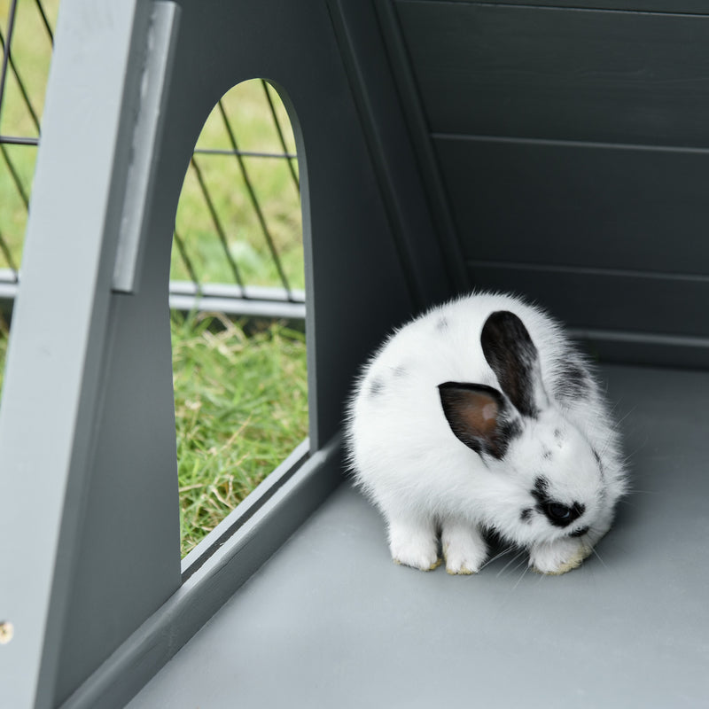 Triangular guinea pig online run