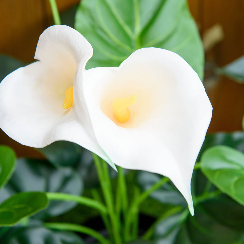 HOMCOM Calla Lily Flower - Artificial Plants