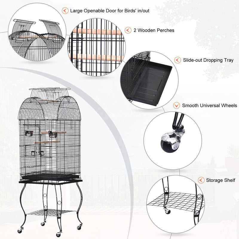 Bird Cage