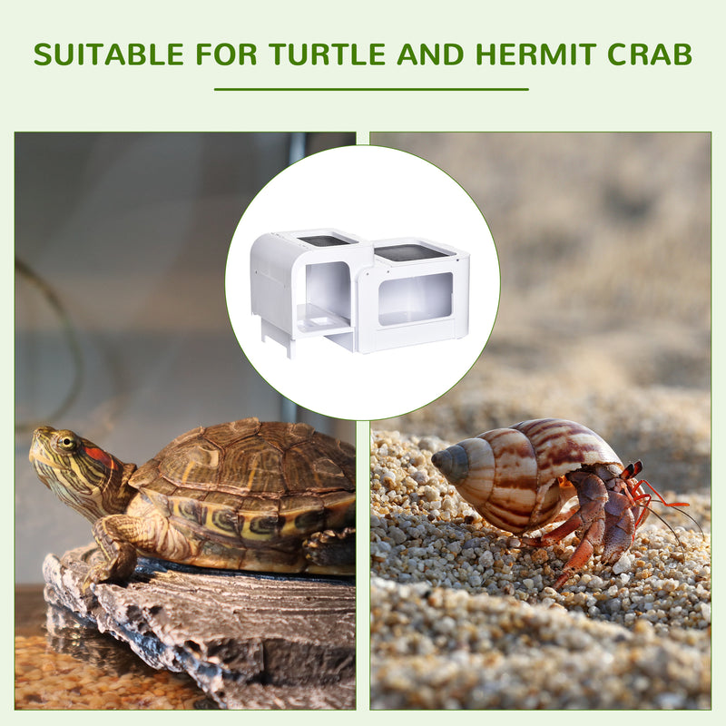 Turtle Tank