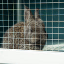Pawhut Rabbit Hutch Green