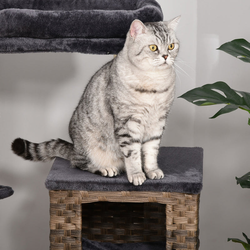 Cat Tree