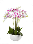 Mint Collection - Soft Pink Orchid in White Ceramic Pot - 12 Stems - 55x55x90cm