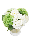 Mint Collection - Mixed White, Green Hydrangeas and Daliah in Glass Vase - 33x33x35cm