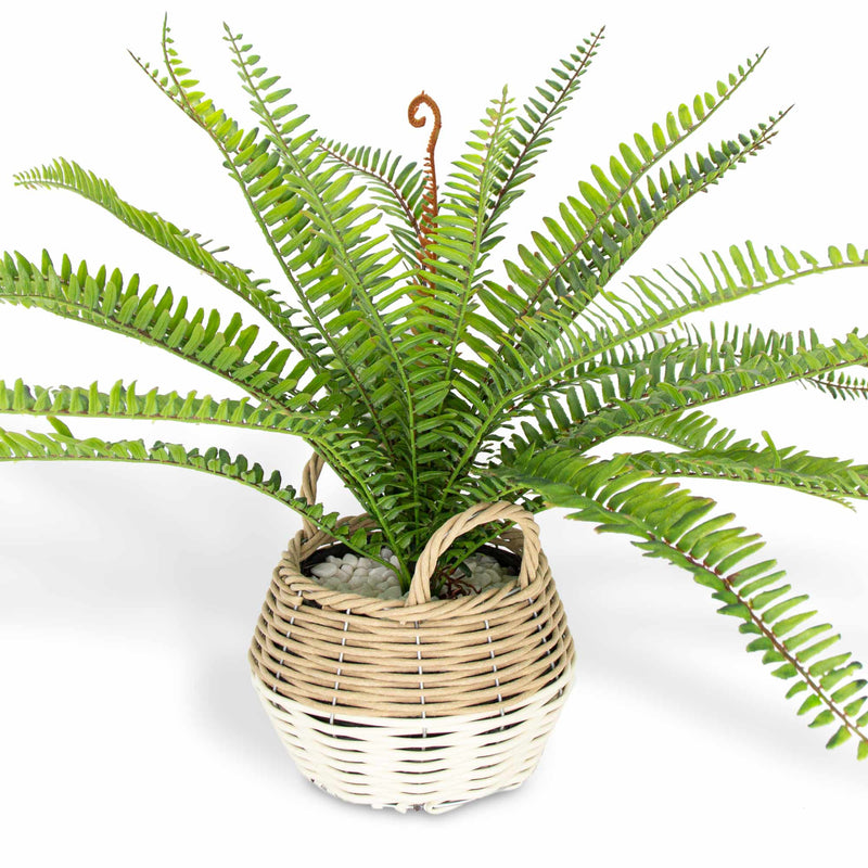 Artificial Fern in a Rattan Style Basket 53cm