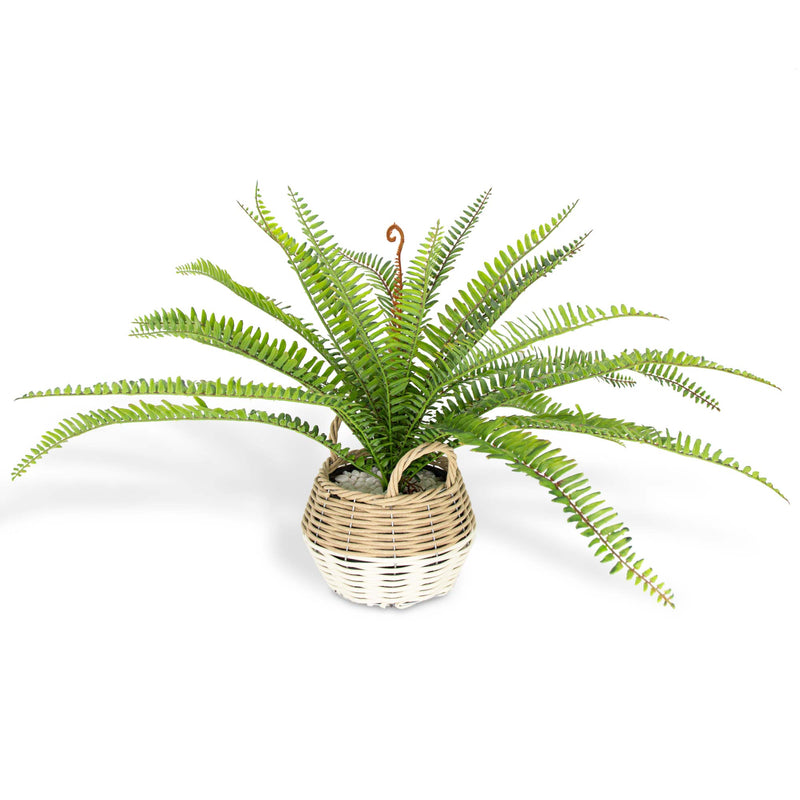 Artificial Fern in a Rattan Style Basket 53cm