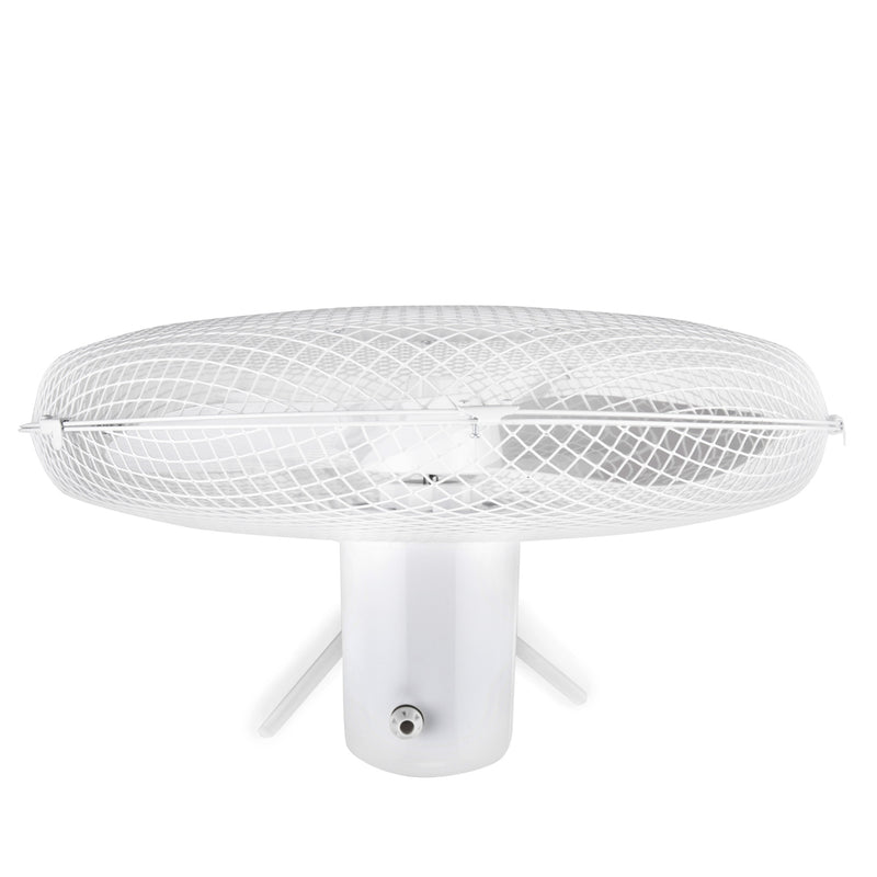 Lewis's 16 Inch  Standing Pedestal Fan  - White