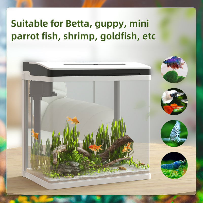 PawHut Aquarium 13L Glass Fish Tank w/ Filter, LED Lighting, Water Pump