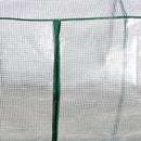 Outsunny Mini Greenhouse Portable Garden Growhouse