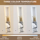 HOMCOM LED Lighted Full Length Mirror Dimmable Full Size Body Mirror for Bedroom