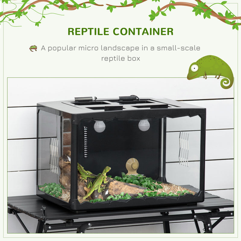 Reptile Box