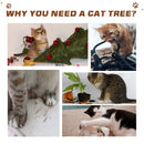 Multi-Activity Cat Tree