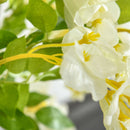 HOMCOM Artificial Realistic White Wisteria Tree for Indoor Outdoor Décor, 160cm