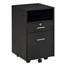 Vinsetto Filing Cabinet with 2 Drawers 40x40x60cm Black