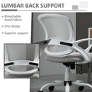 Vinsetto Mesh Office Chair Swivel Desk Task Computer Chair with  Lumbar Back Support Adjustable Height Arm for Home Grey Home PC w/ Arm