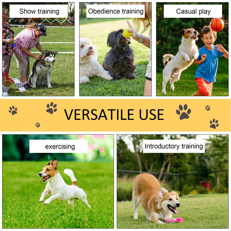 Pet Agility Training Set