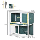 Pawhut Rabbit Hutch Green